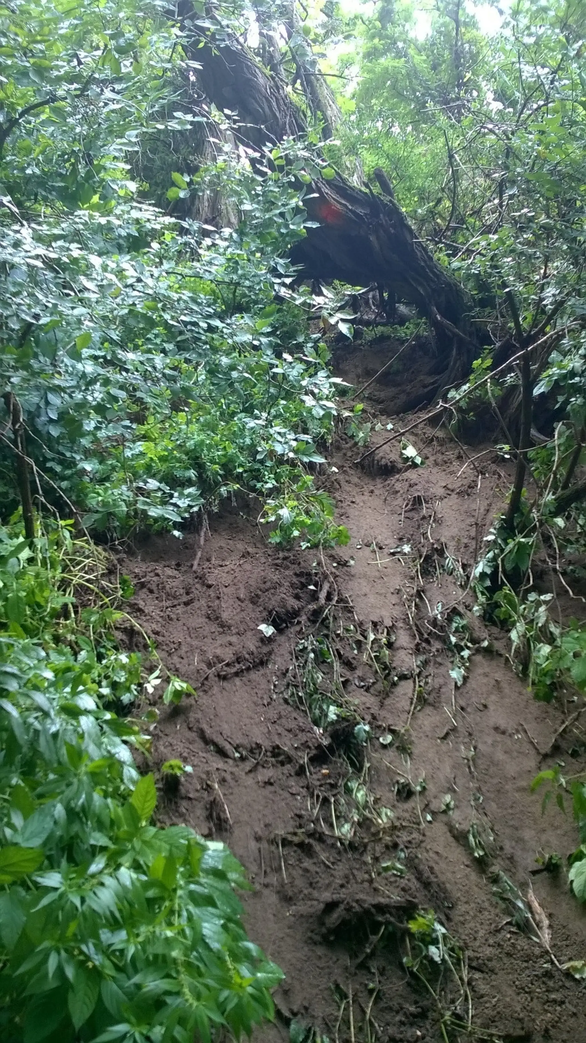 Zosuv pôdy v Devíne.