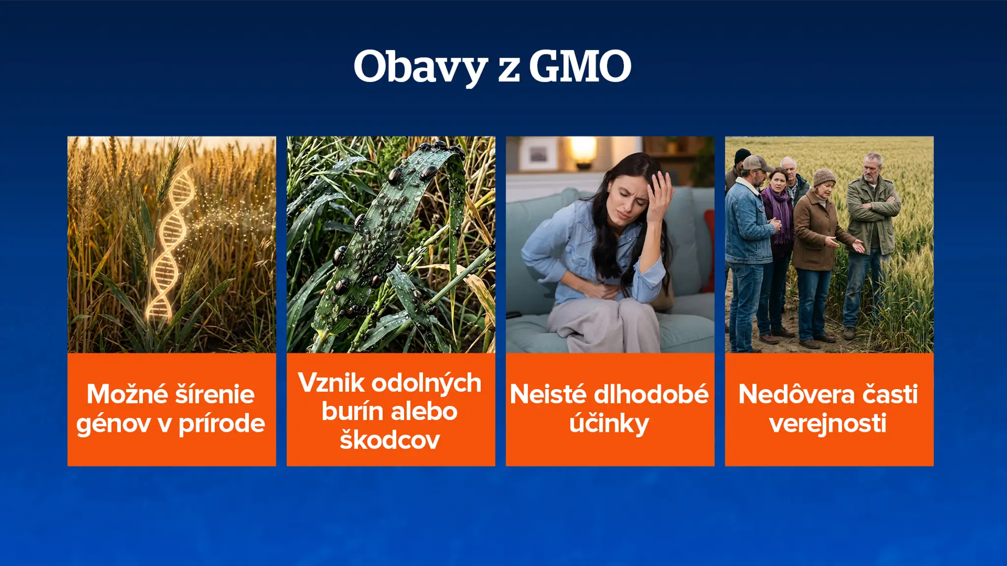 Obavy z GMO