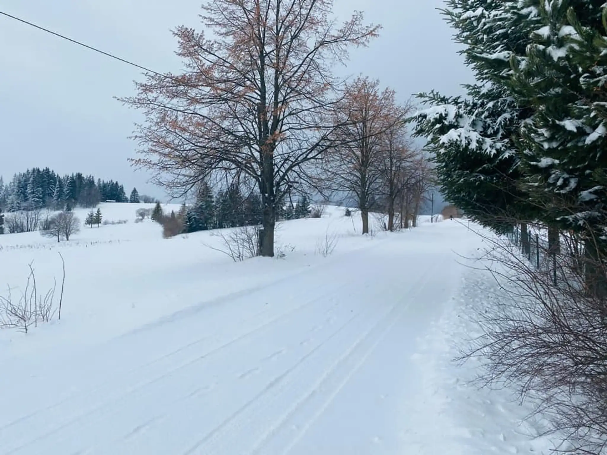 Obec Oravské Veselé, okres Námestovo