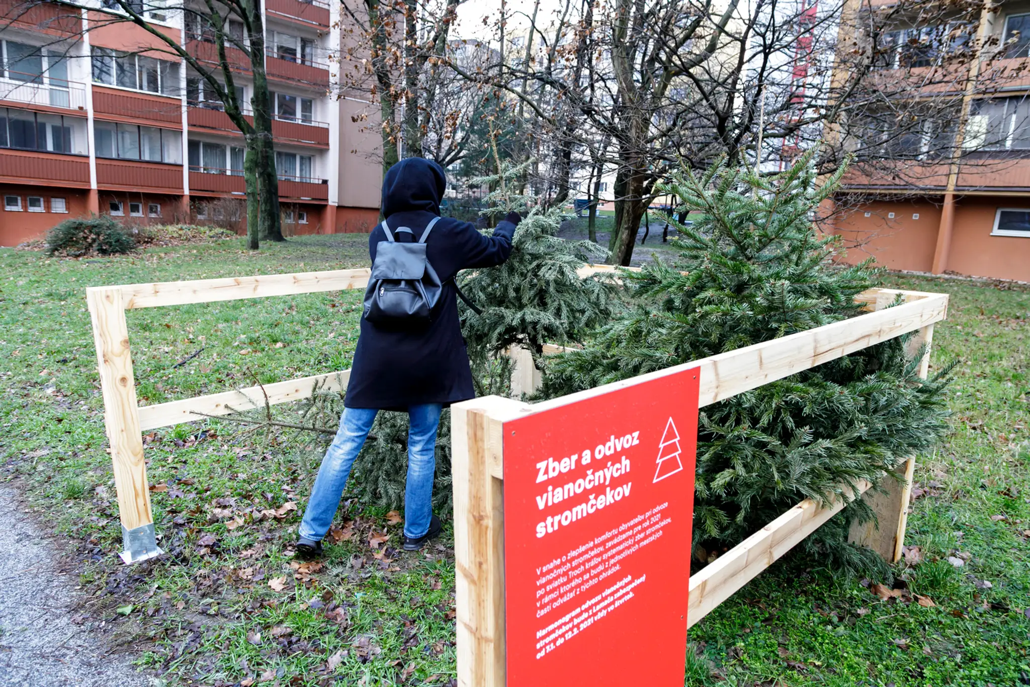 Drevená ohrádka na stromčeky v Bratislave