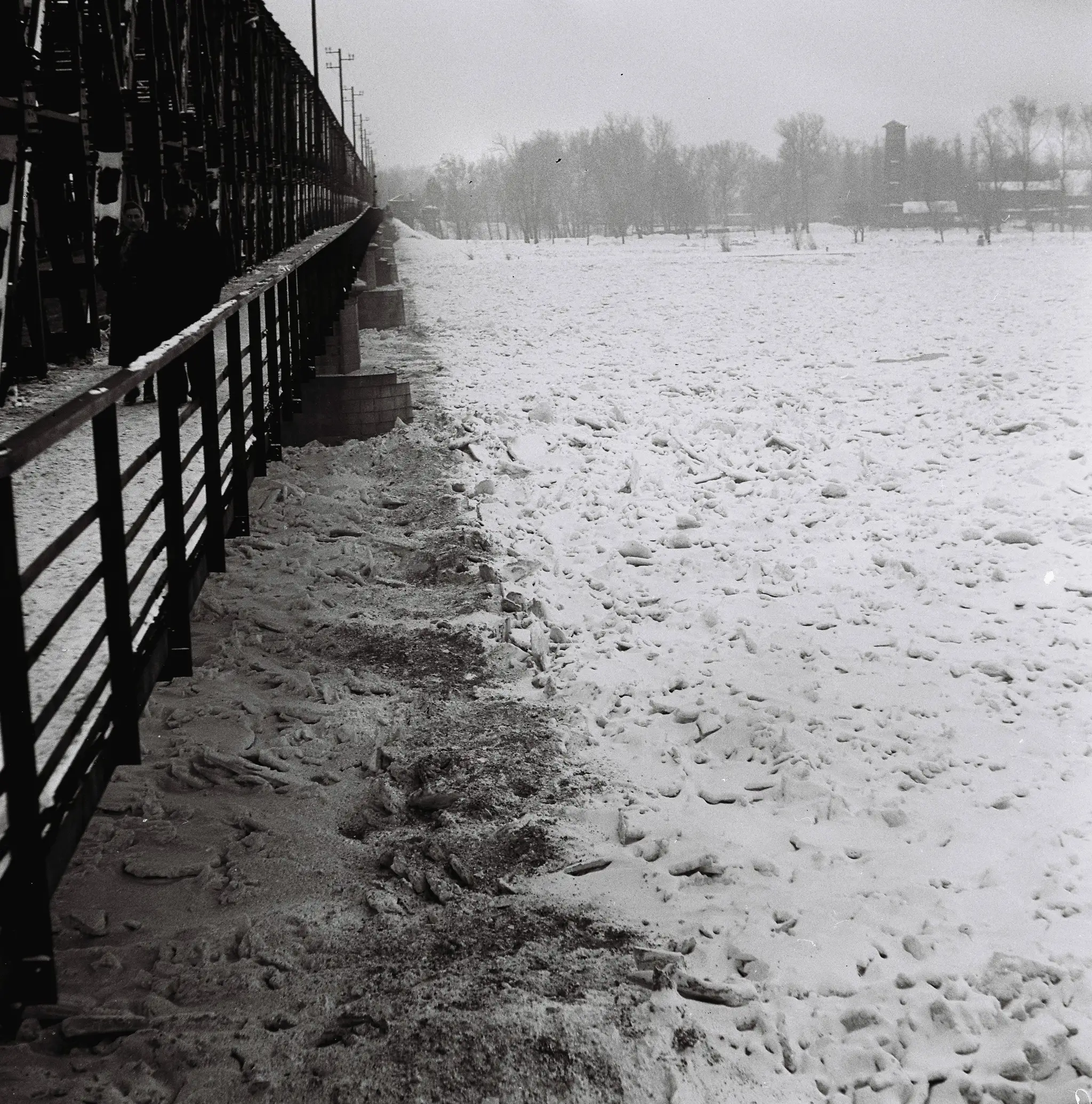 Zamrznutý Dunaj počas zimy v roku 1956.