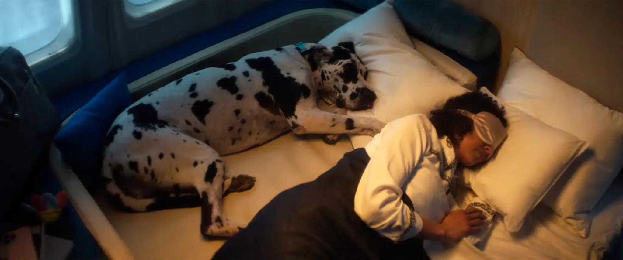 Záber z reklamy na Bark Air.