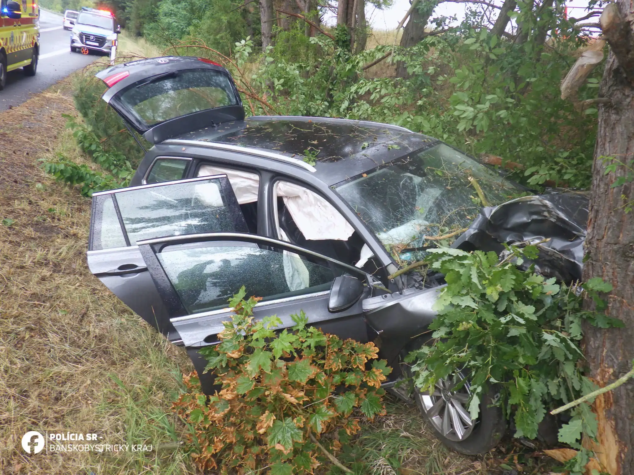 Auto vrazilo do stromu