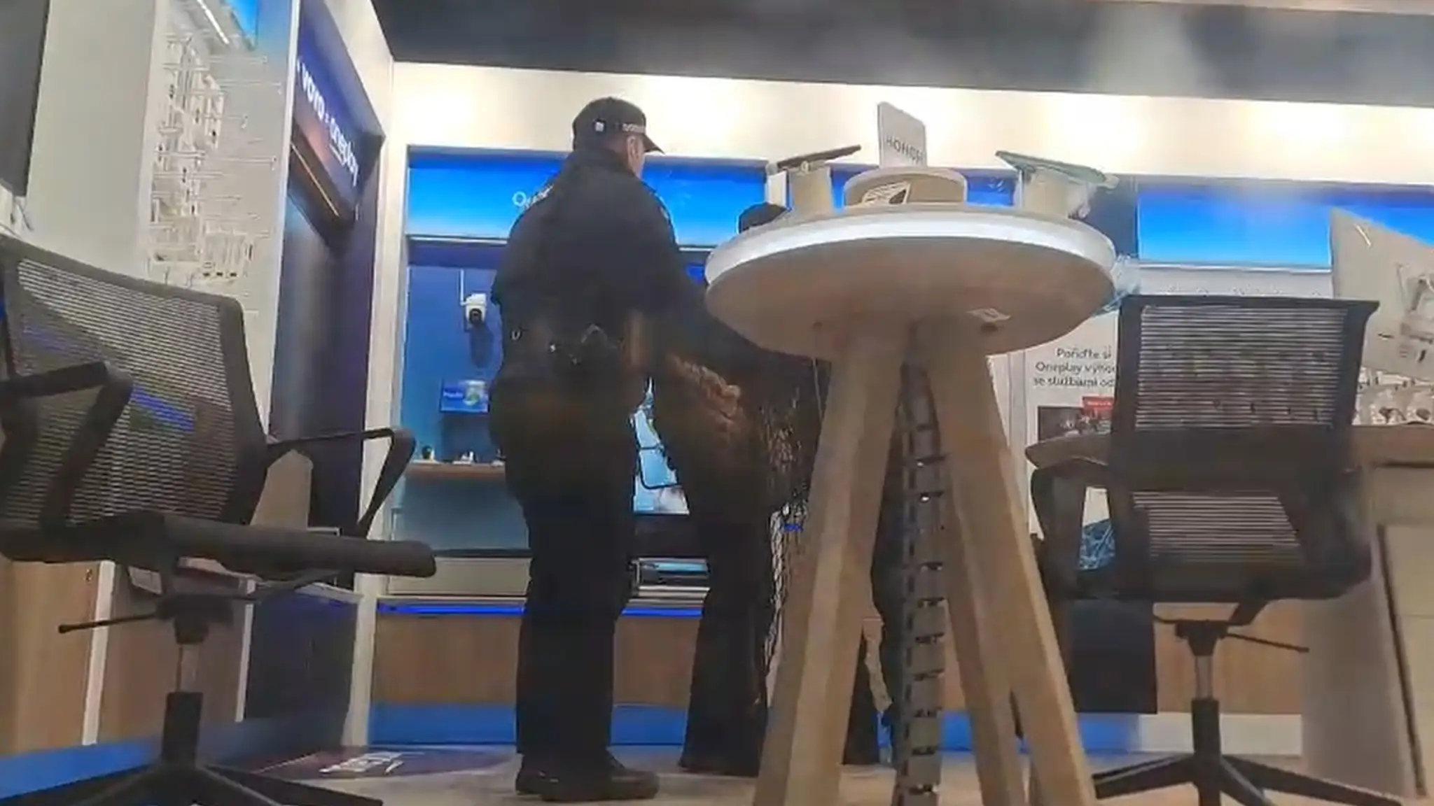 Do pardubického obchodného domu vošla srnka