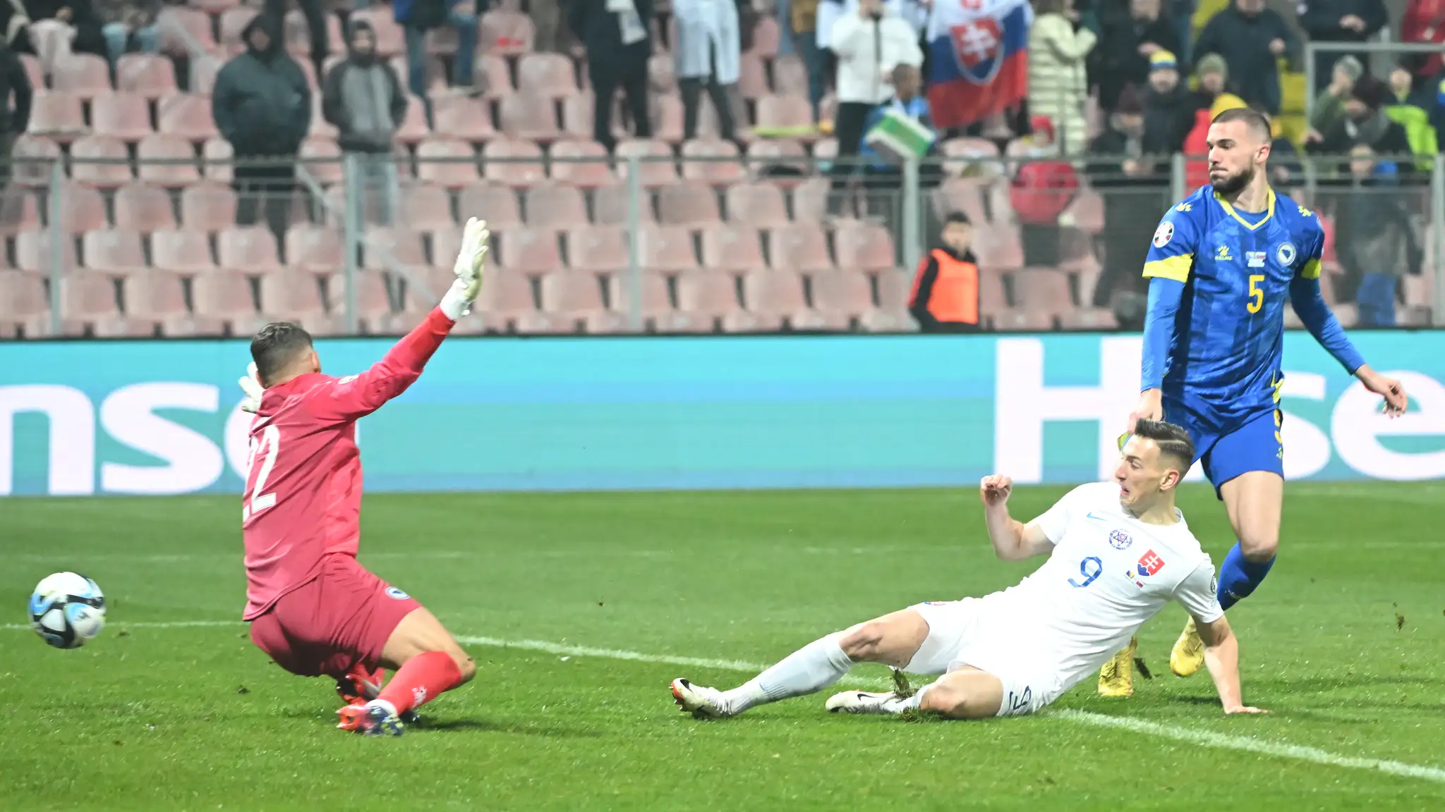 Bosna a Hercegovina - Slovensko.