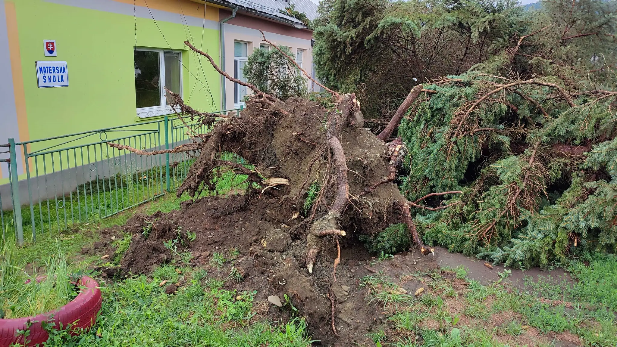 Popadané stromy v obci Hankovce.