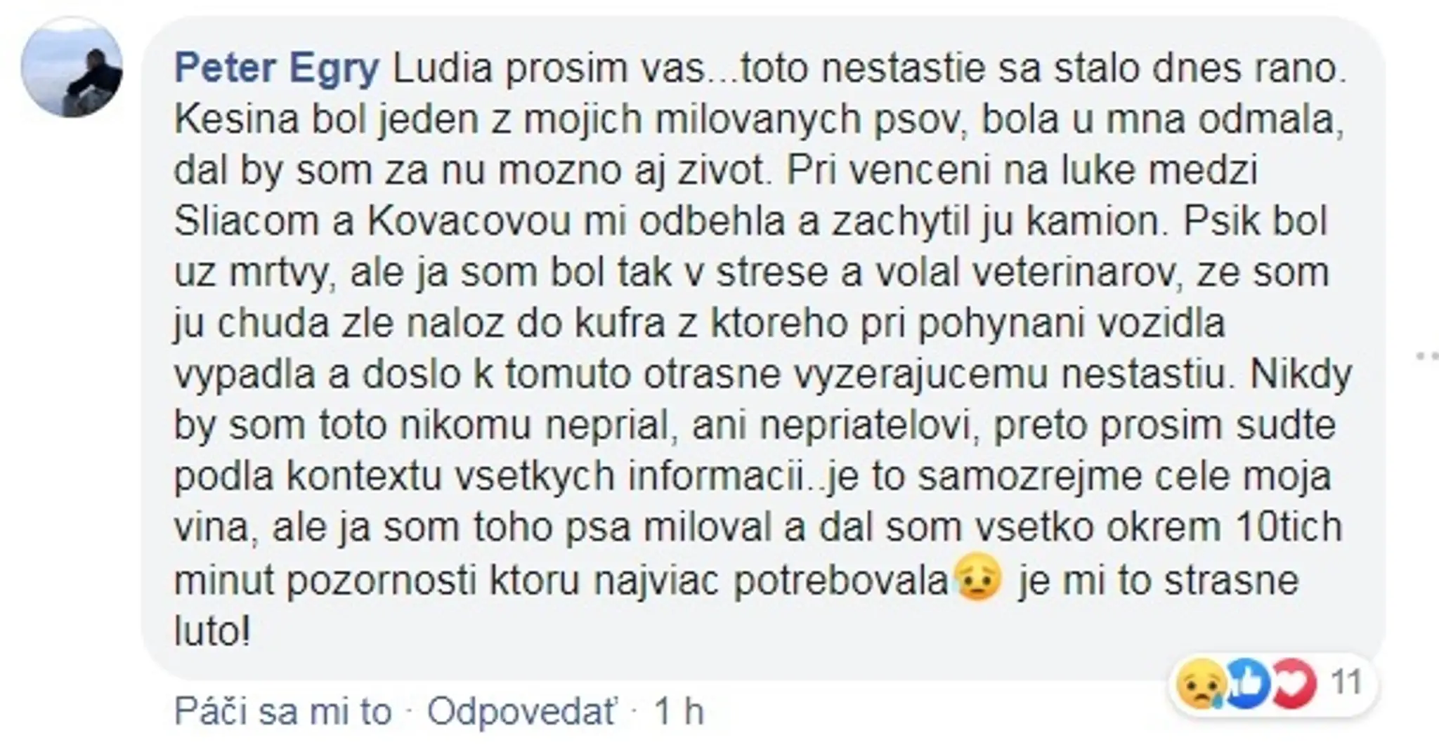 Nešťastie v Kalifornii