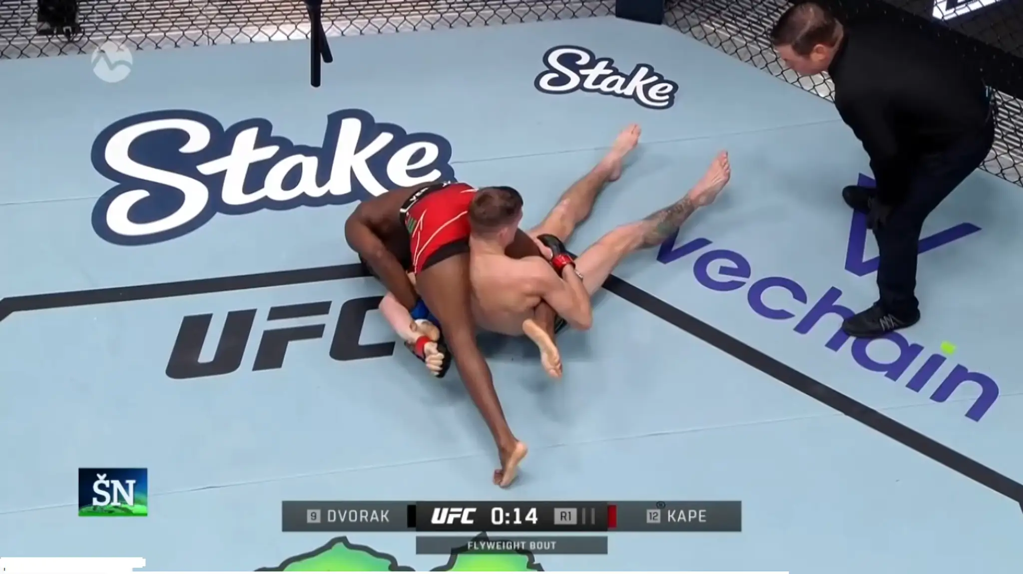 mma Dvořák.