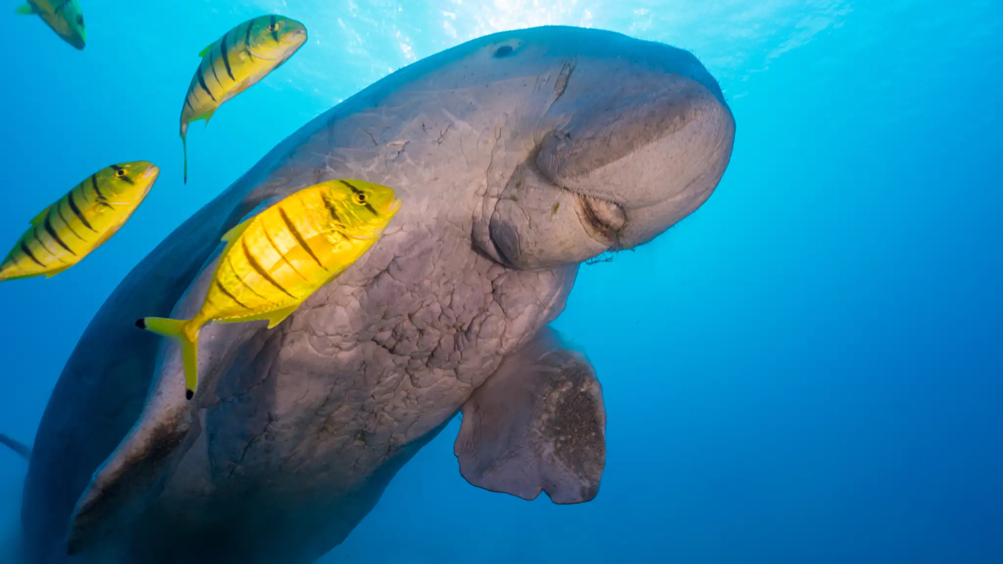 Vojna dvoch českých pornohviezd vyvrcholila verejným priznaním: Tak fetujem, no a čo!