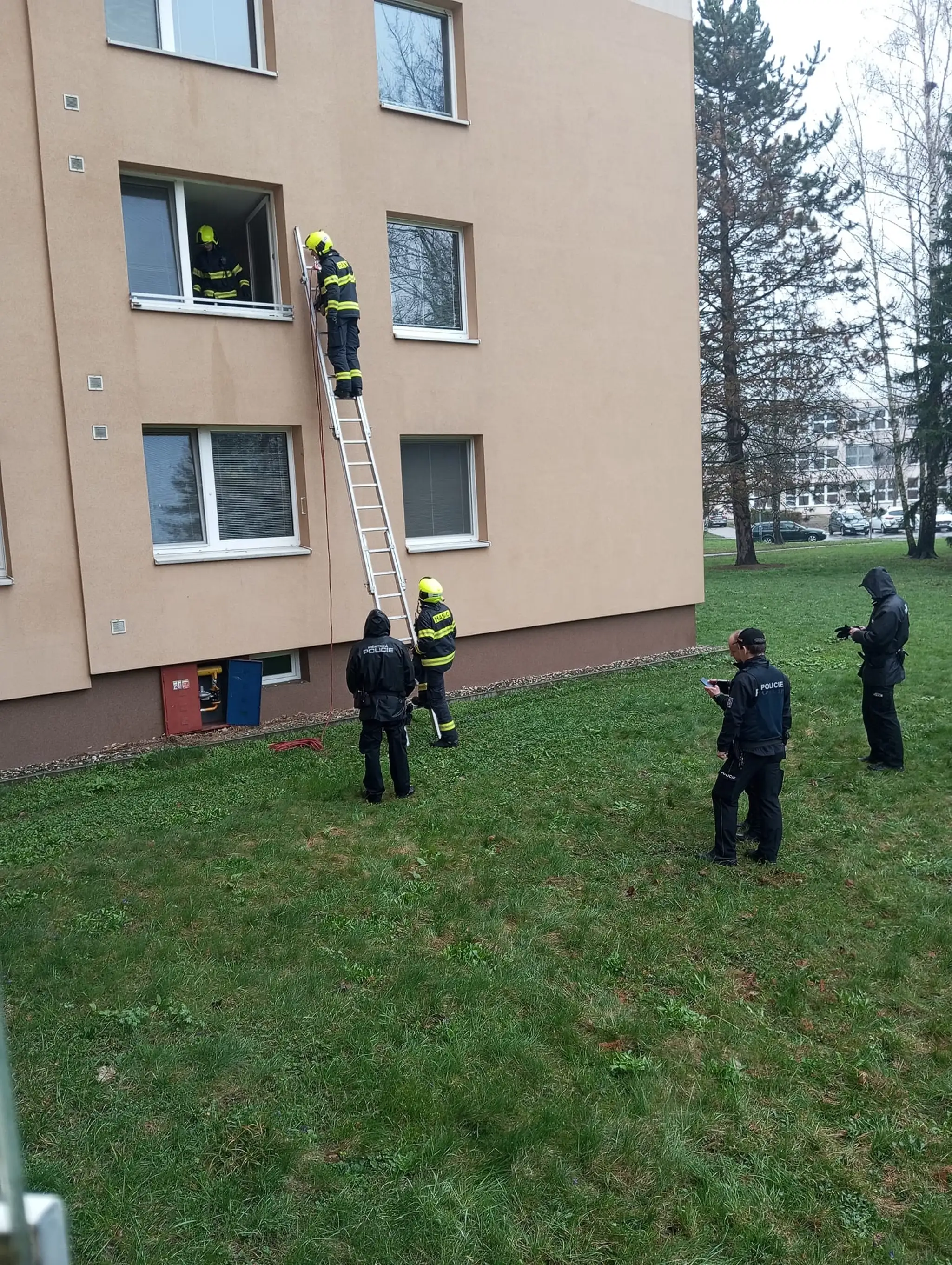Týraného psíka zachránili hasiči cez okno.