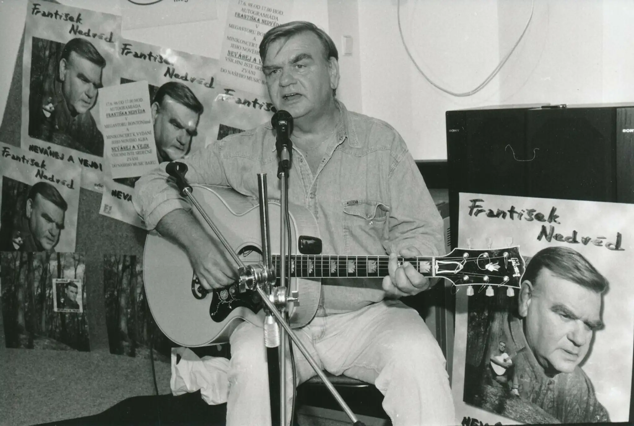 František Nedvěd