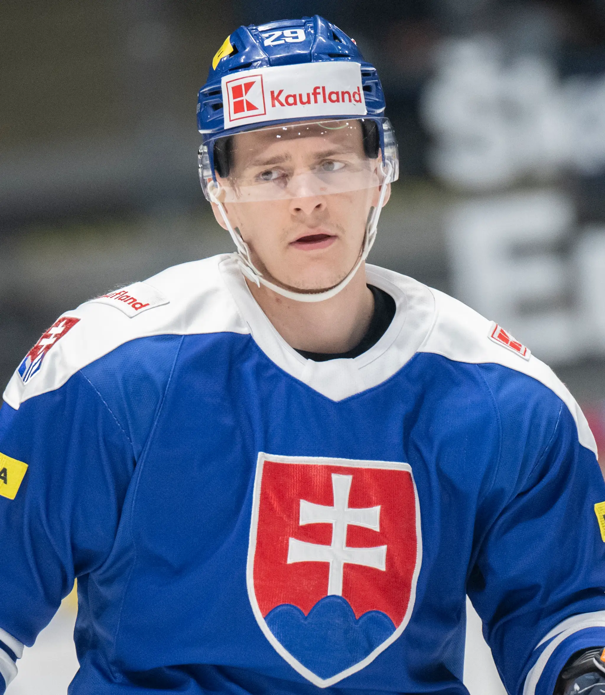 Michal Ivan je pravidelným reprezentantom Slovenska.