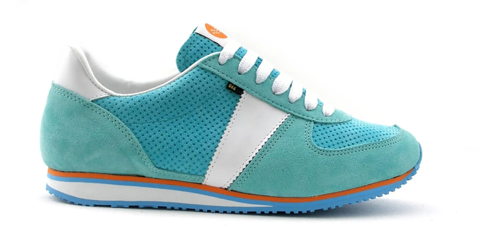 Model Botas 66