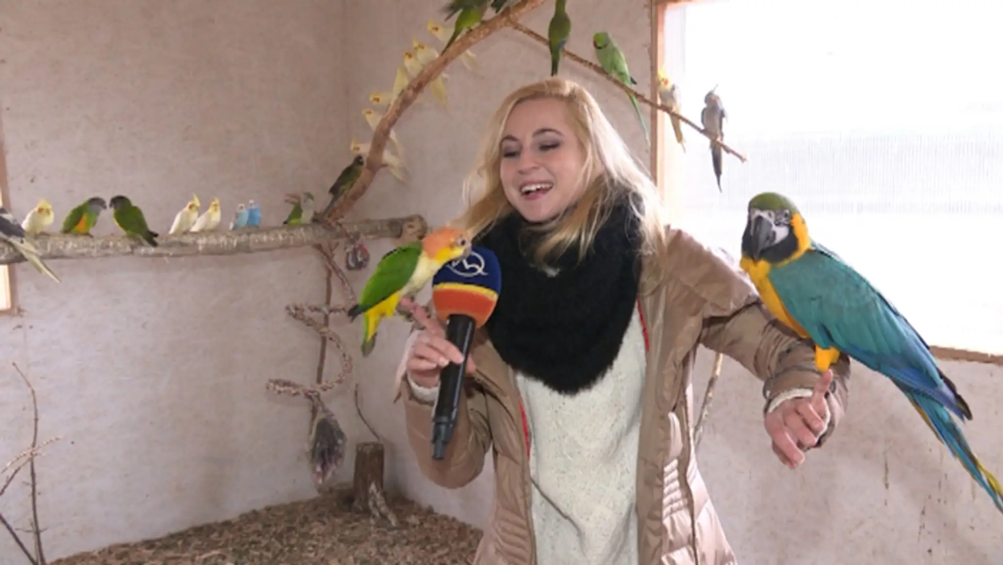 Prácu nám niekedy pri výrobe reportáží sťažili aj papagáje.
