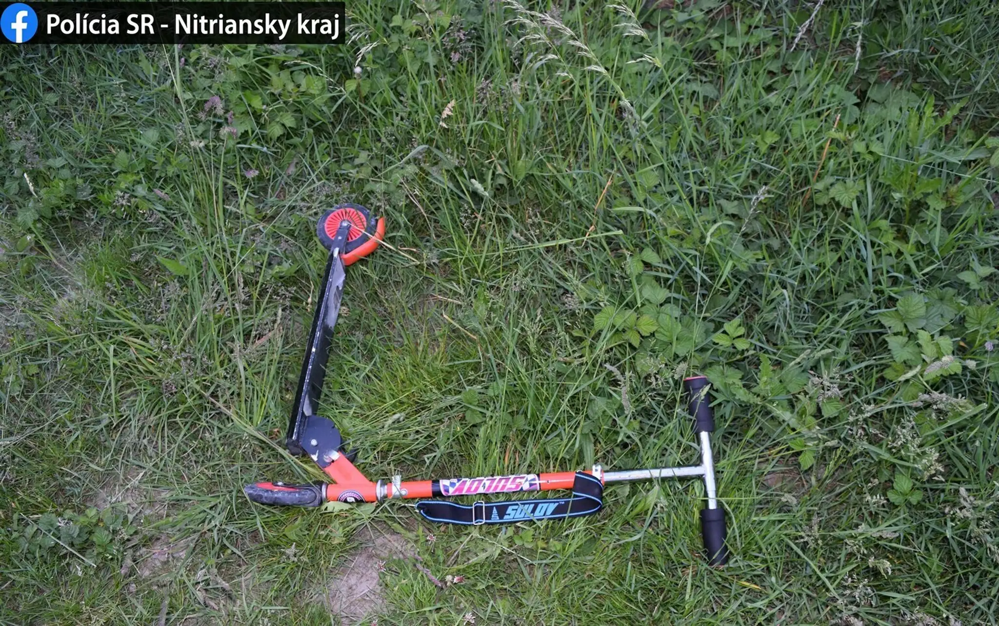 o prieskume a o tom kto bude rast a stupat.mp4