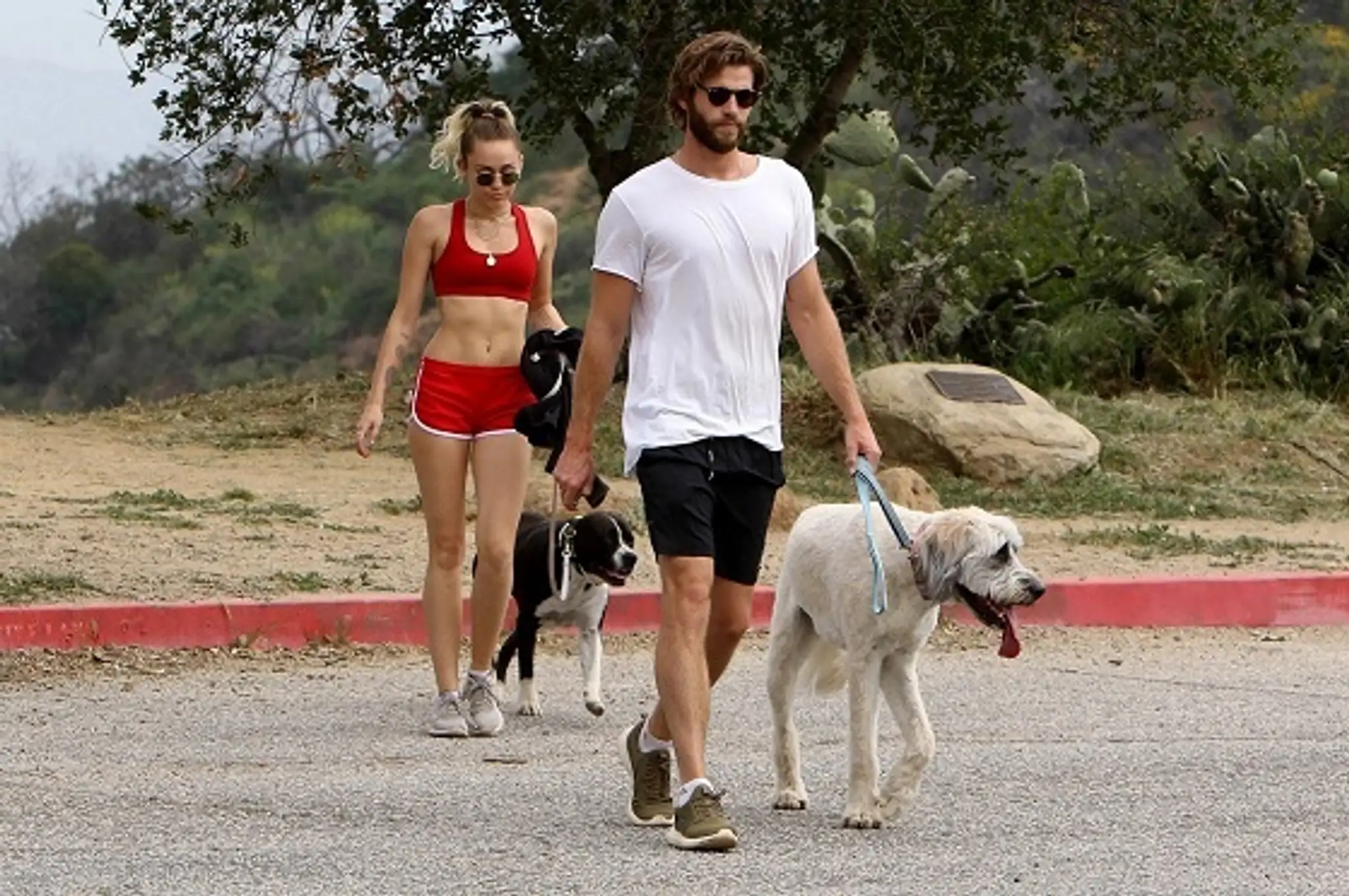 Miley Cyrus a Liam Hemsworth