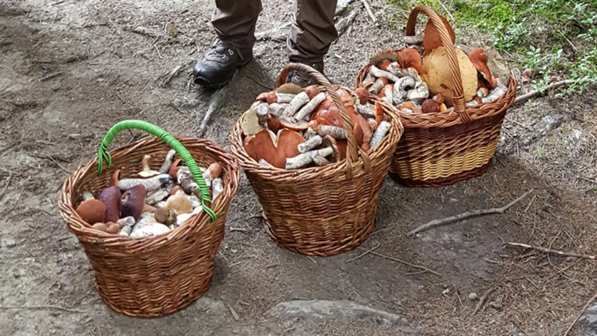 Úlovok na Orave.