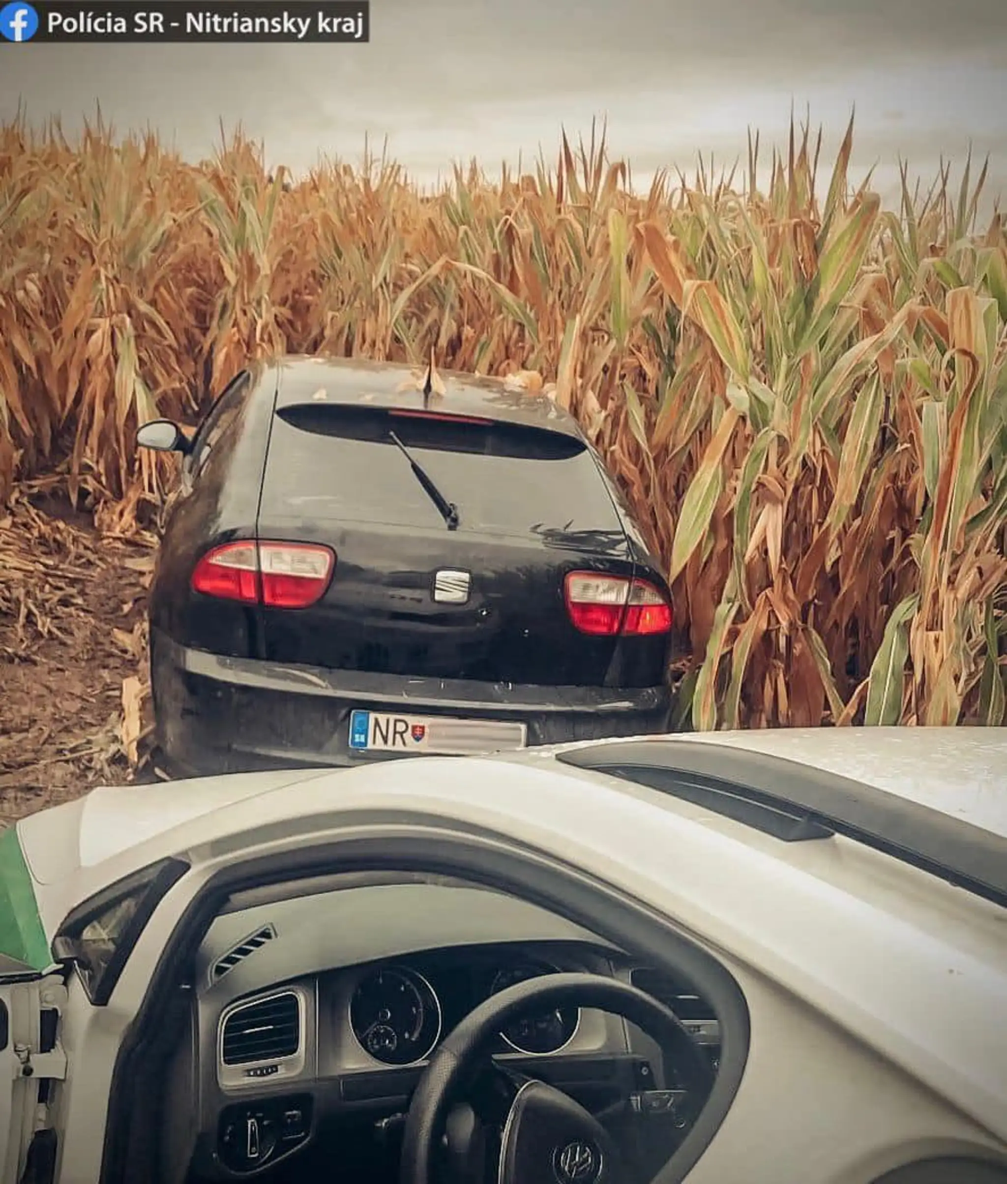 Auto skončilo v kukuričnom poli.