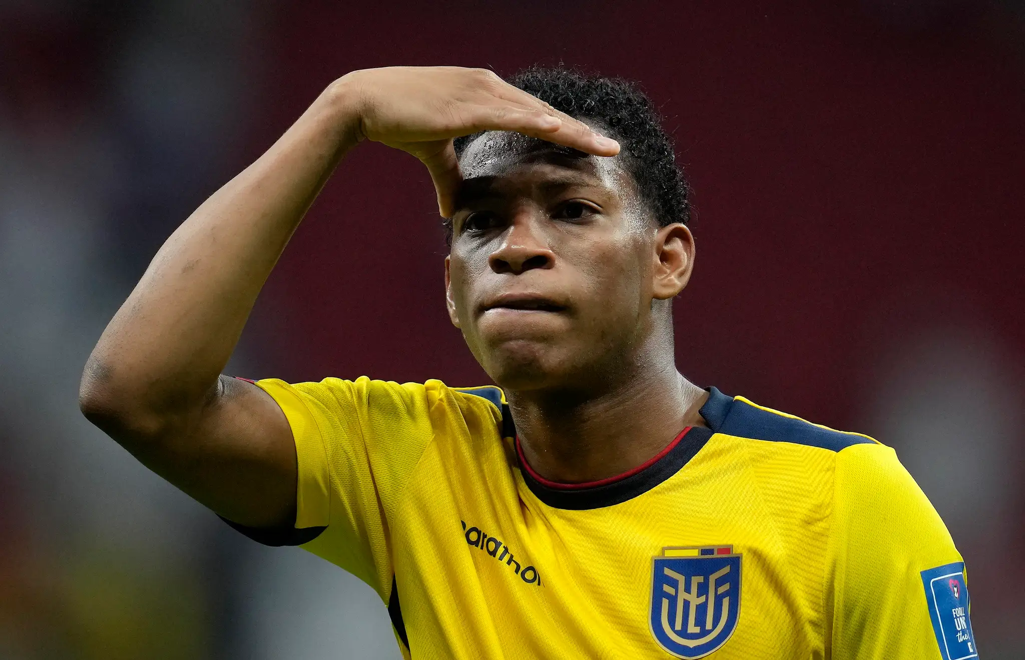 WCup_Qatar_Ecuador_Soccer880747