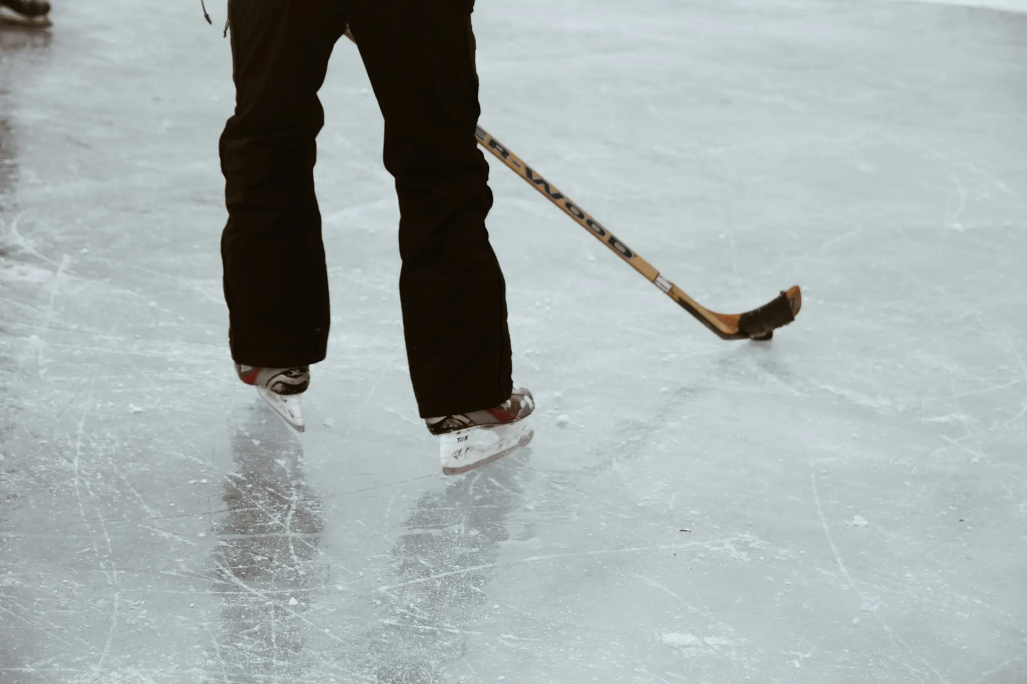 taylor-friehl-2l5TYOv6YeQ-unsplash