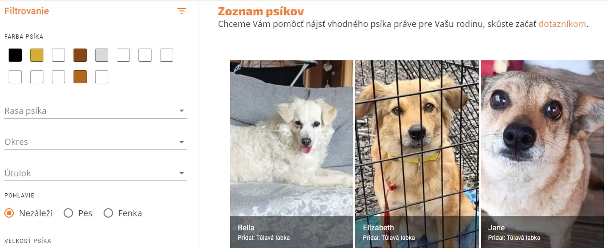 Projekt Nájdite sa online.