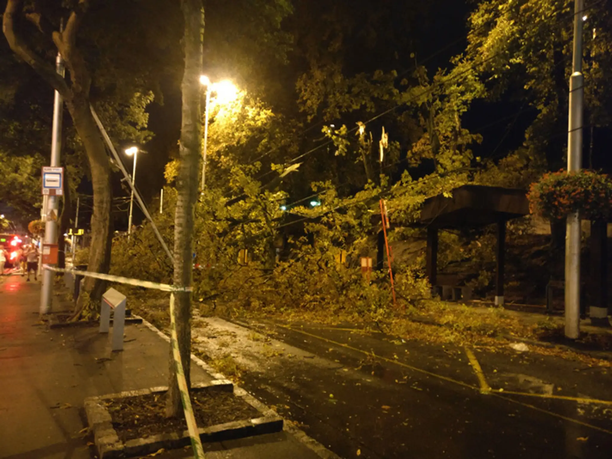 Popadané stromy pred bratislavskou Hlavnou stanicou.