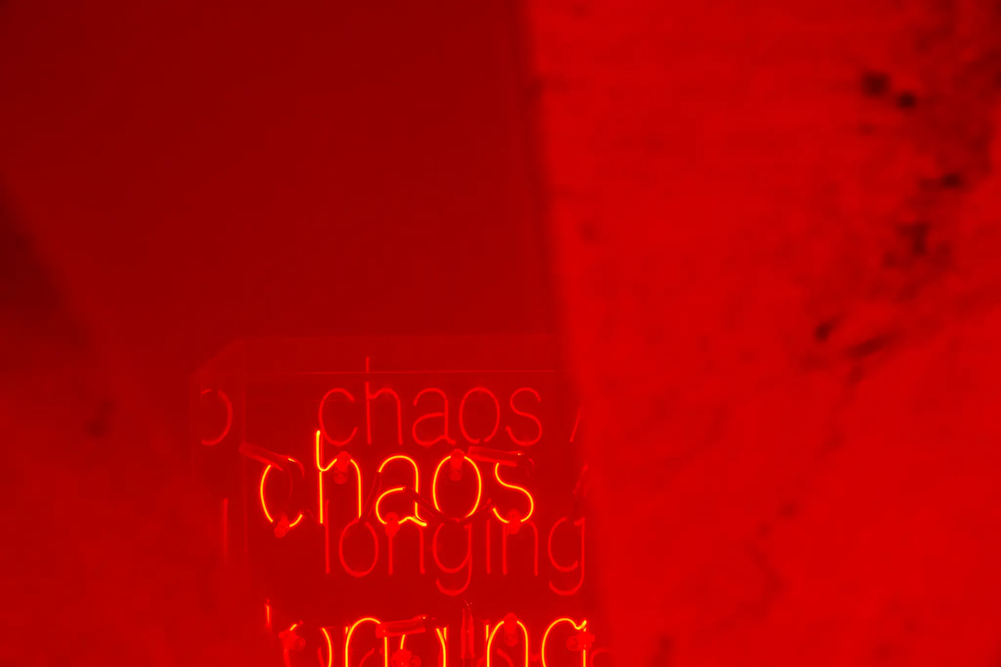 Deanna Pizzitelli_Archive Neon