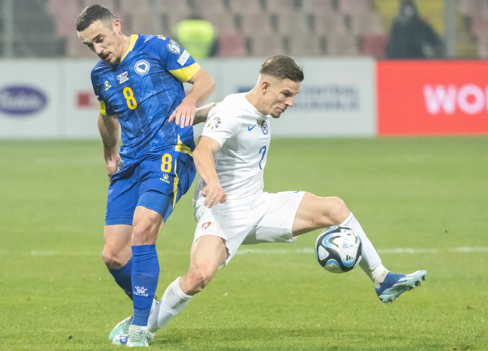 Bosna a Hercegovina - Slovensko.
