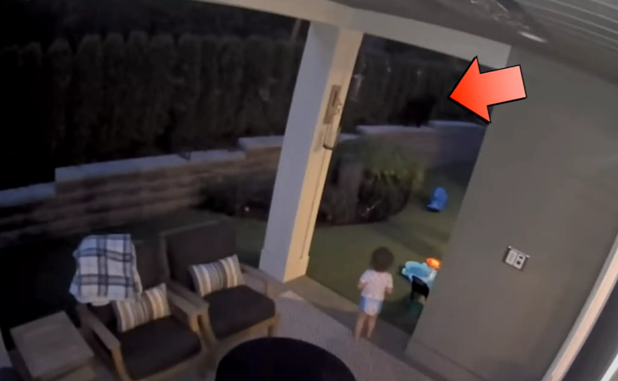 Rodinu na dvore prekvapil medveď, dieťa sa za ním nadšene rozbehlo