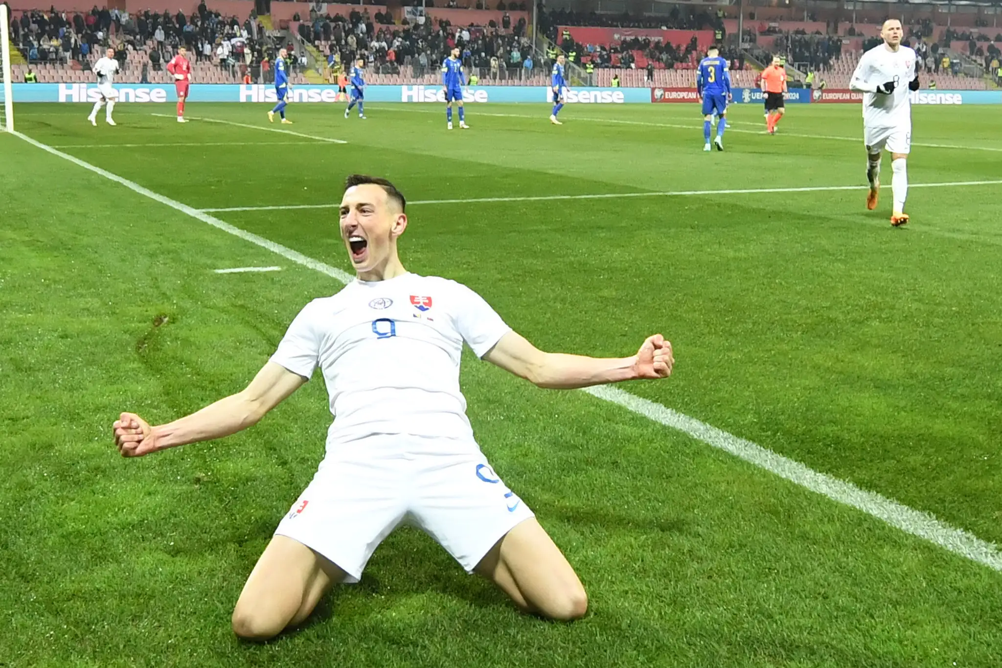 Bosna a Hercegovina - Slovensko.