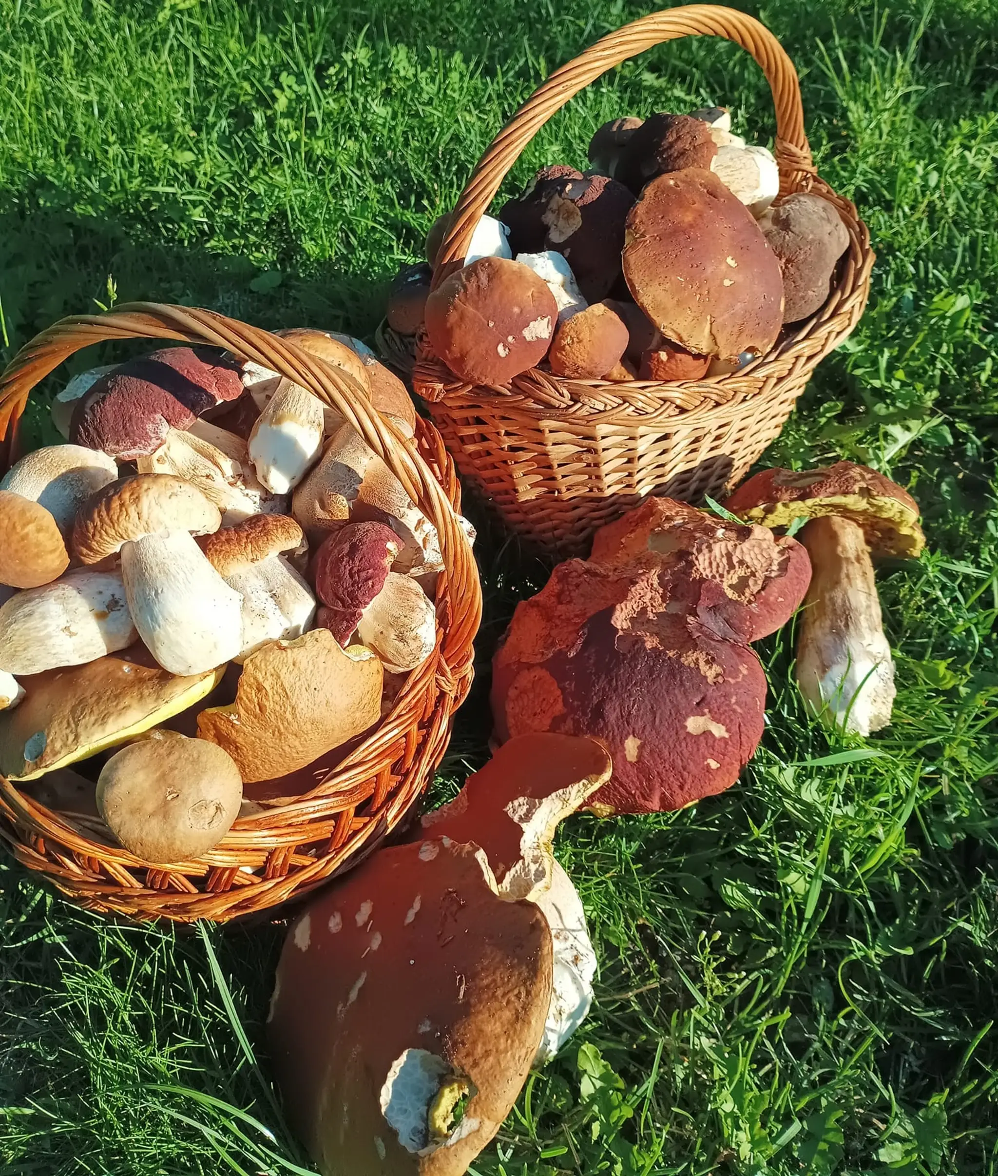 V okolí Prešova "išla karta" Mikimu Zidovskemu.