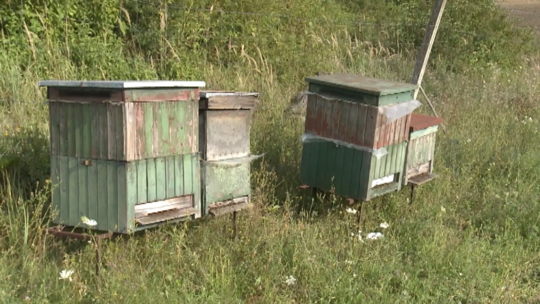 Včelí úľ