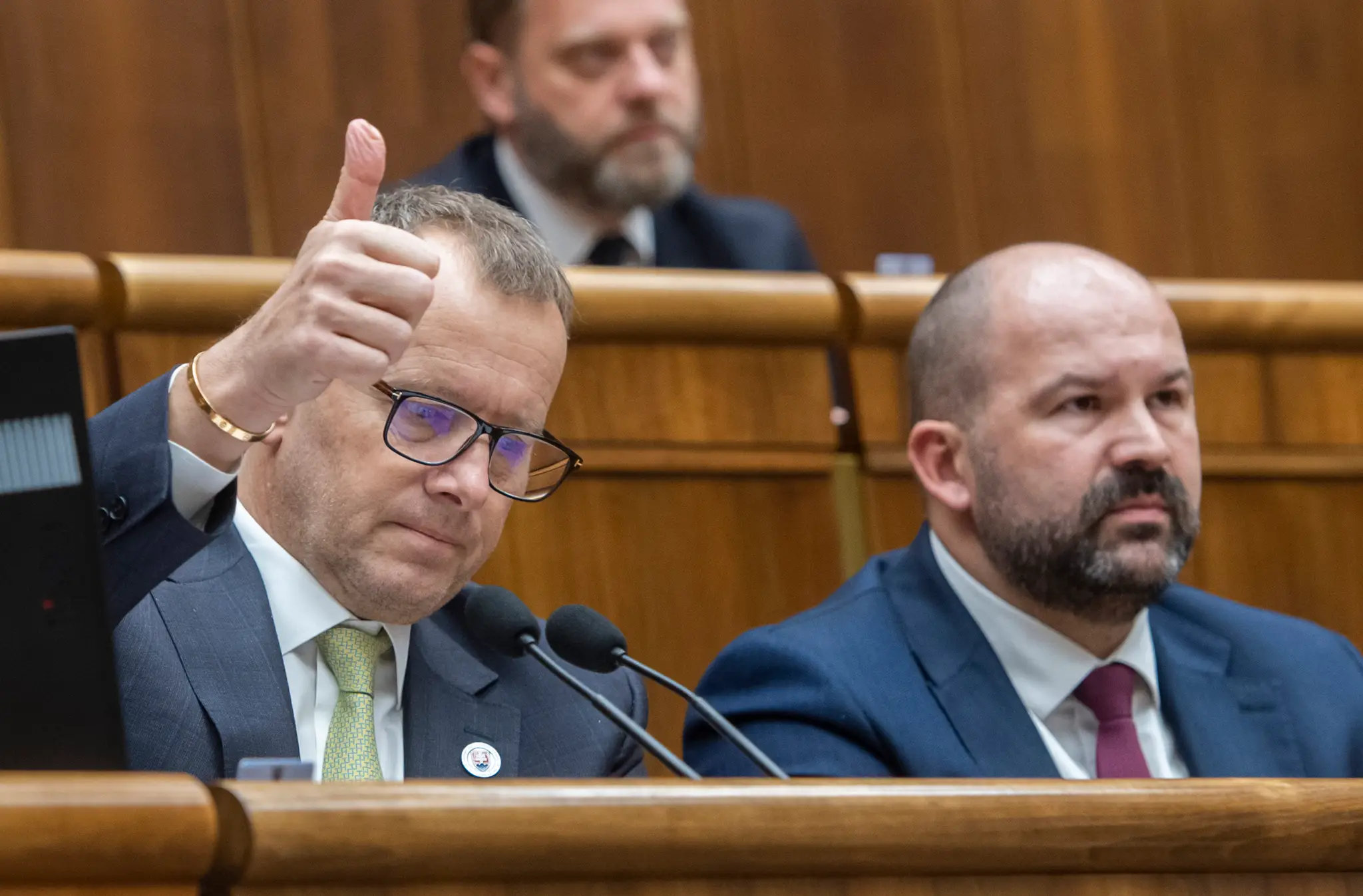 Hlasovanie o predčasných voľbách.