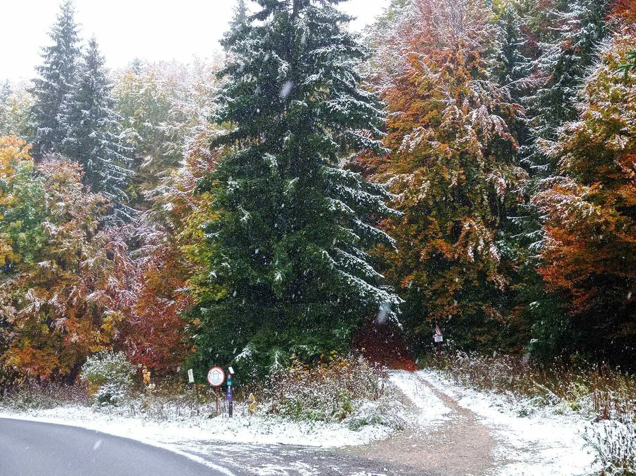 Foto od vás - Šumiac