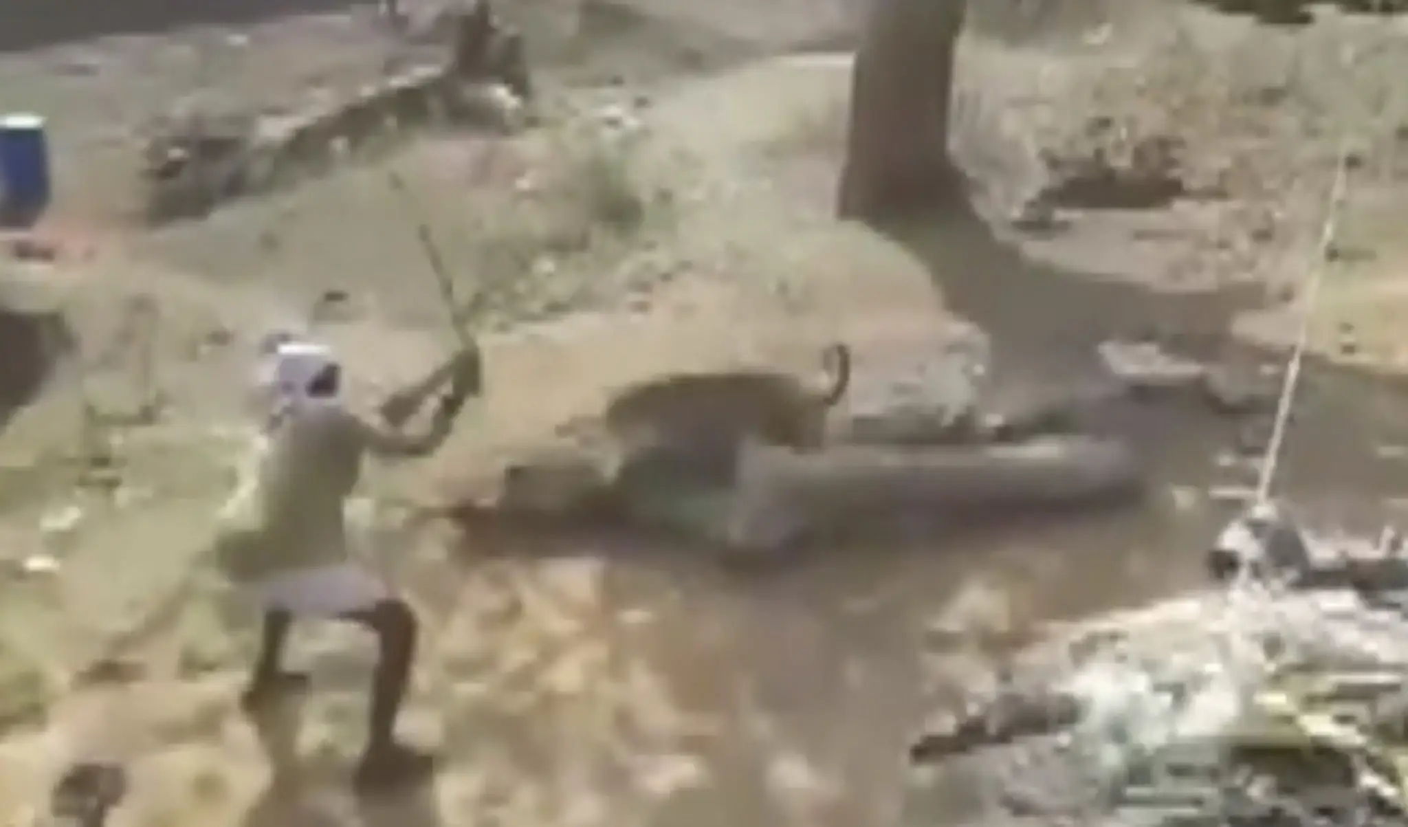 Útok leoparda v Indii.