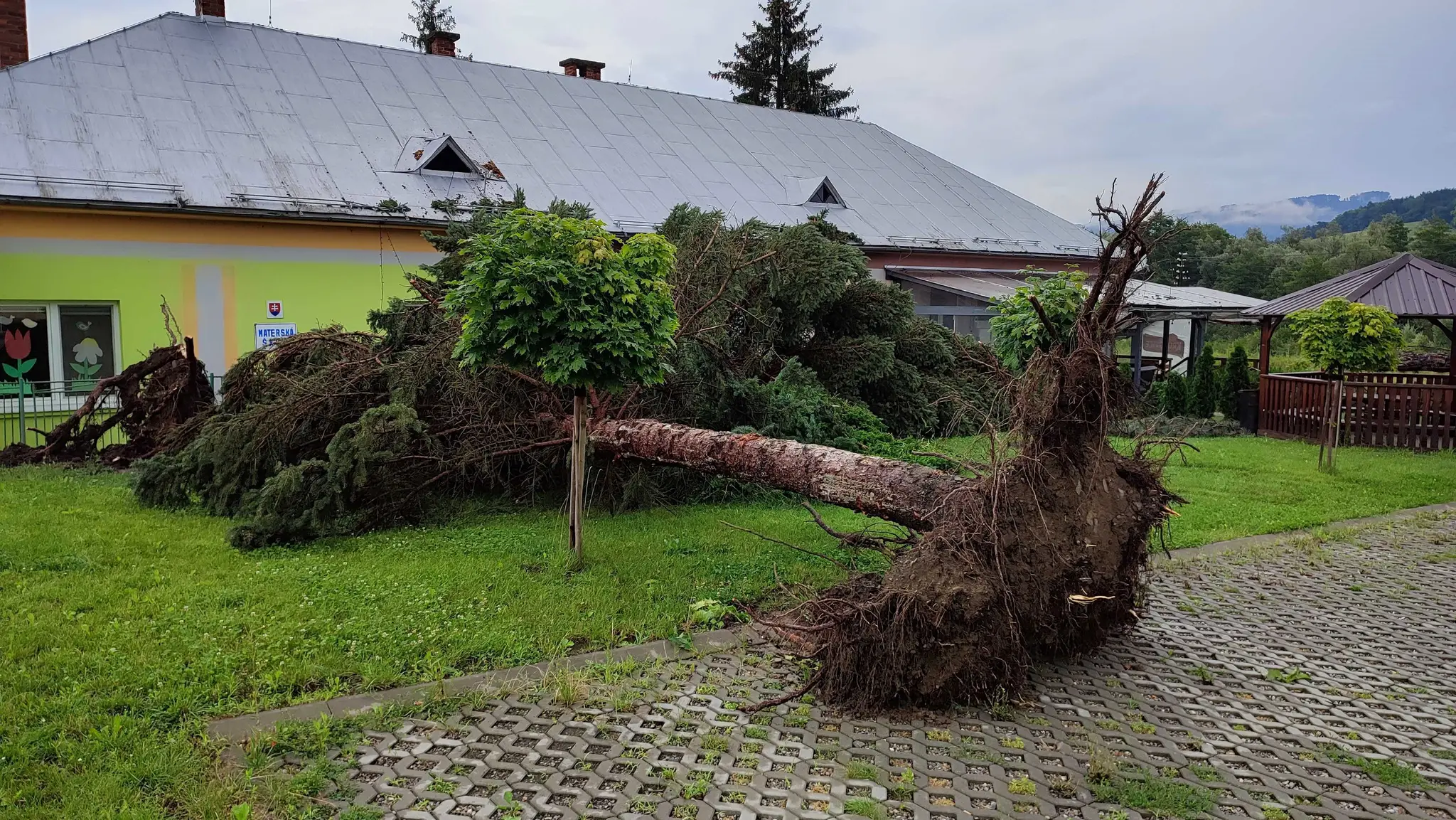 Popadané stromy v obci Hankovce.