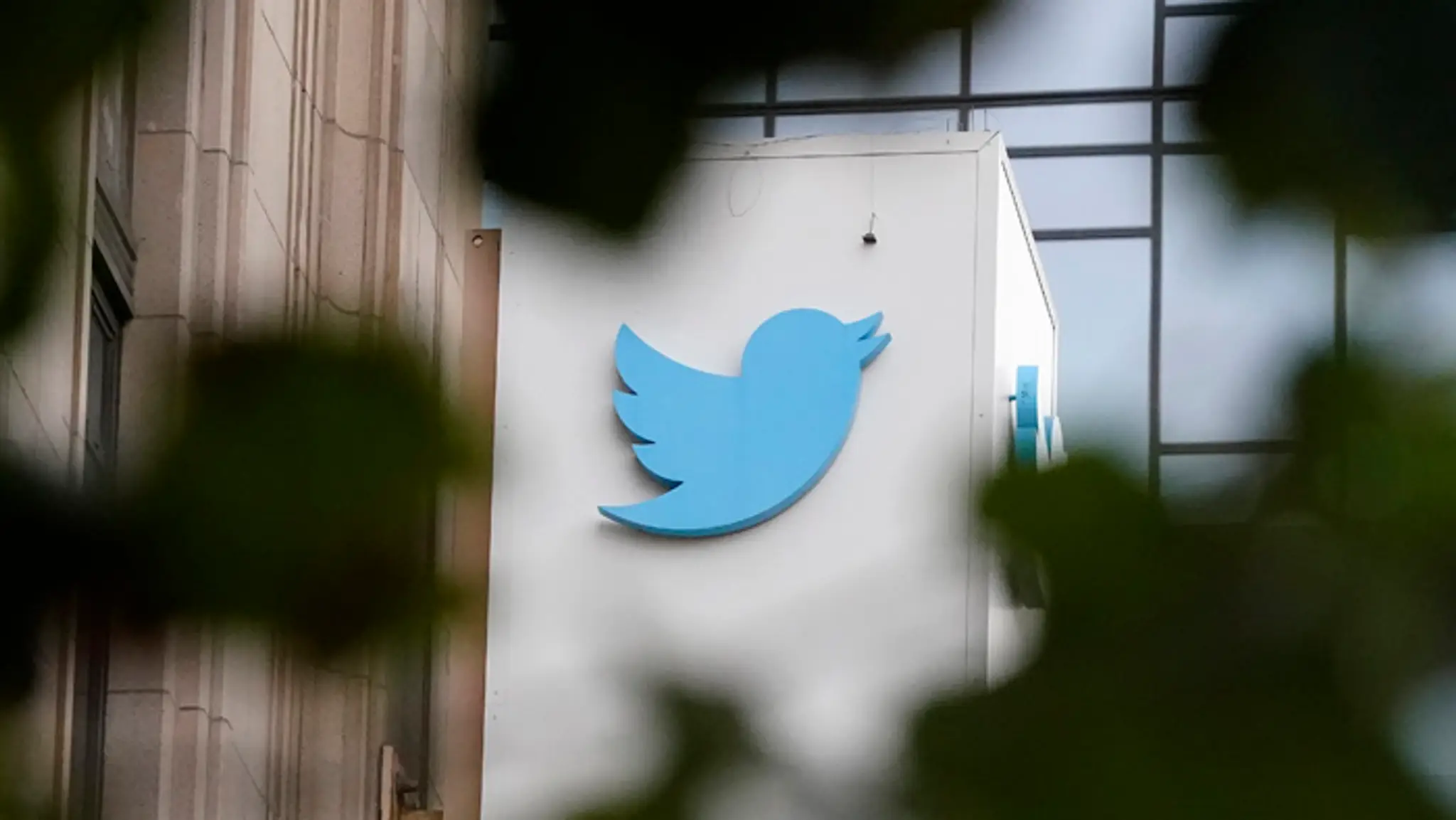 Logo sociálnej siete Twitter v San Franciscu.