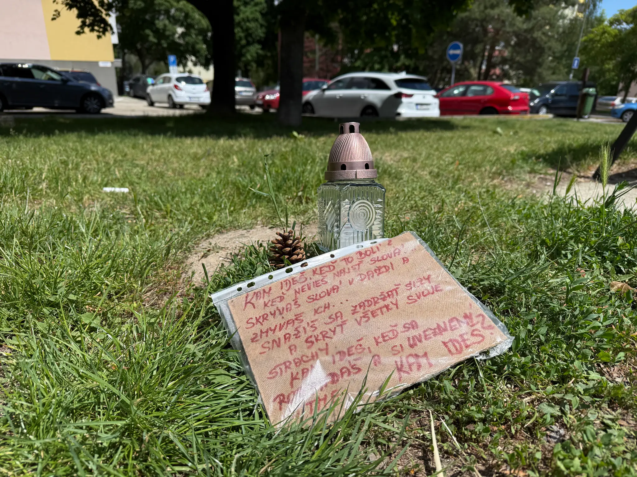 Odkaz od priateľky dobodaného
