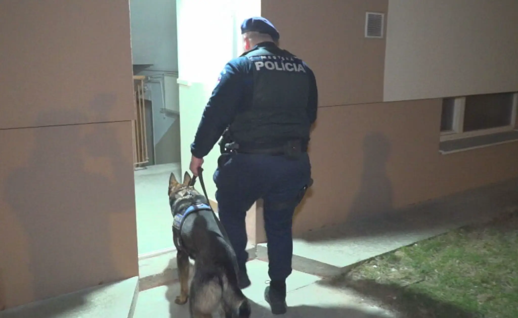 Mestská polícia v Nitre
