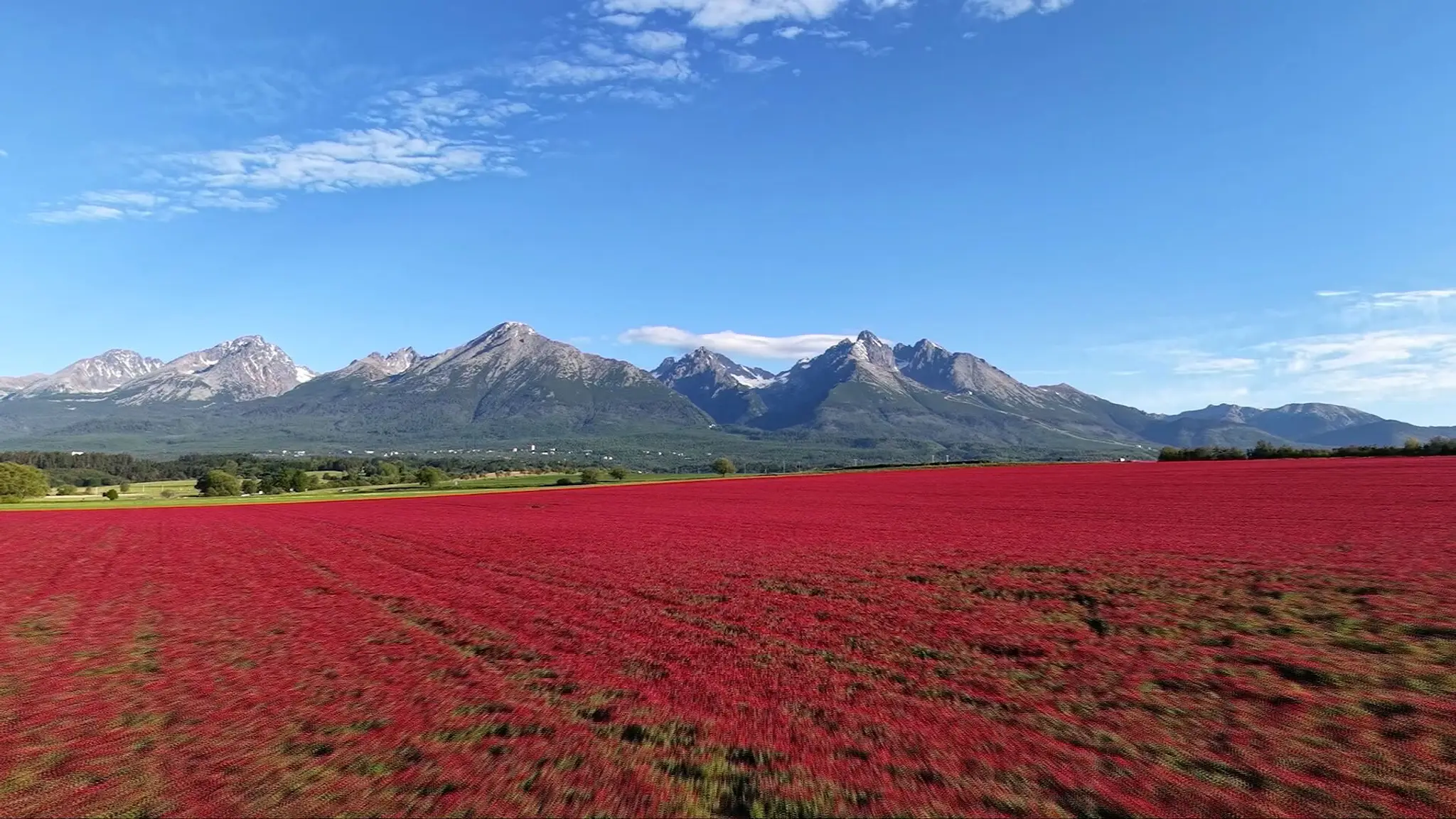 Pohľad na Vysoké Tatry