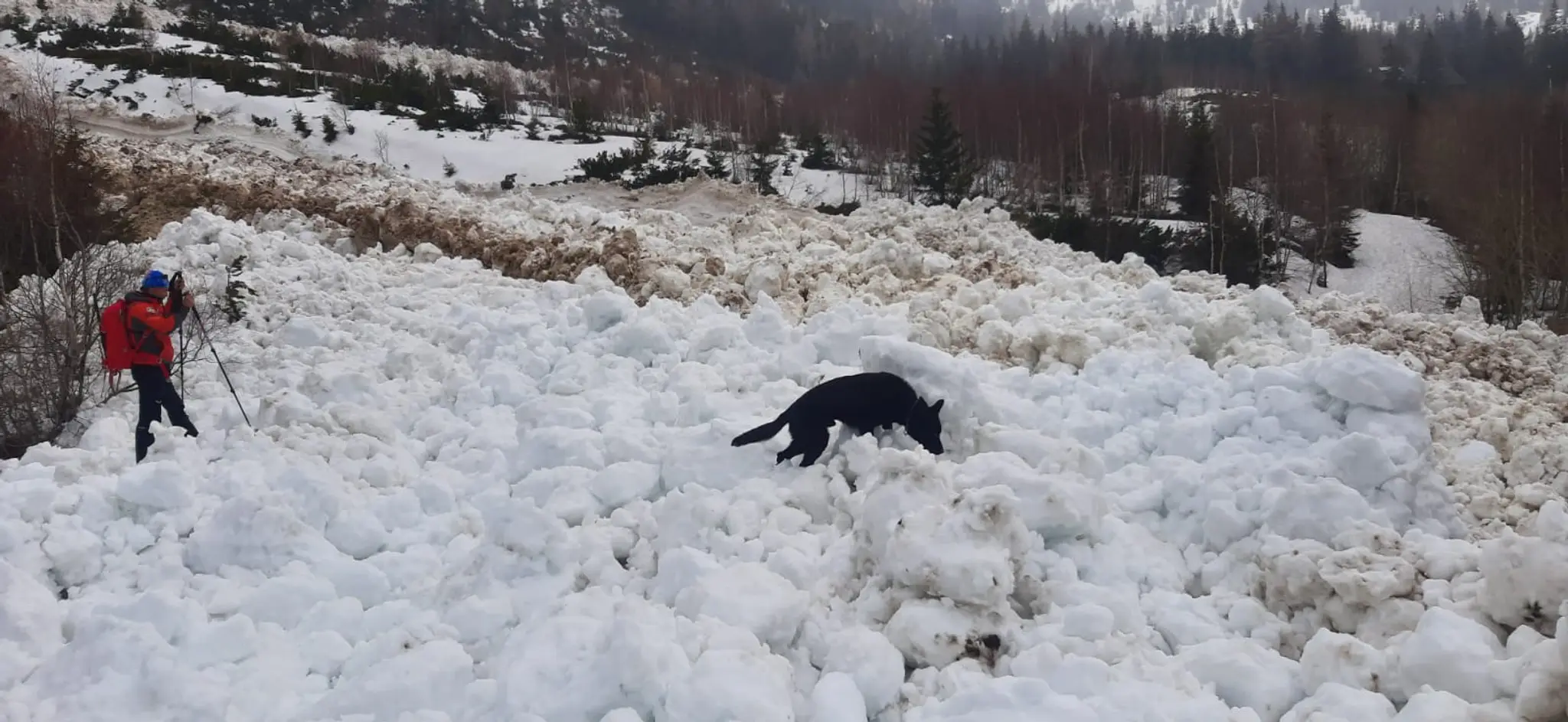 V Žiarskej doline spadla lavína