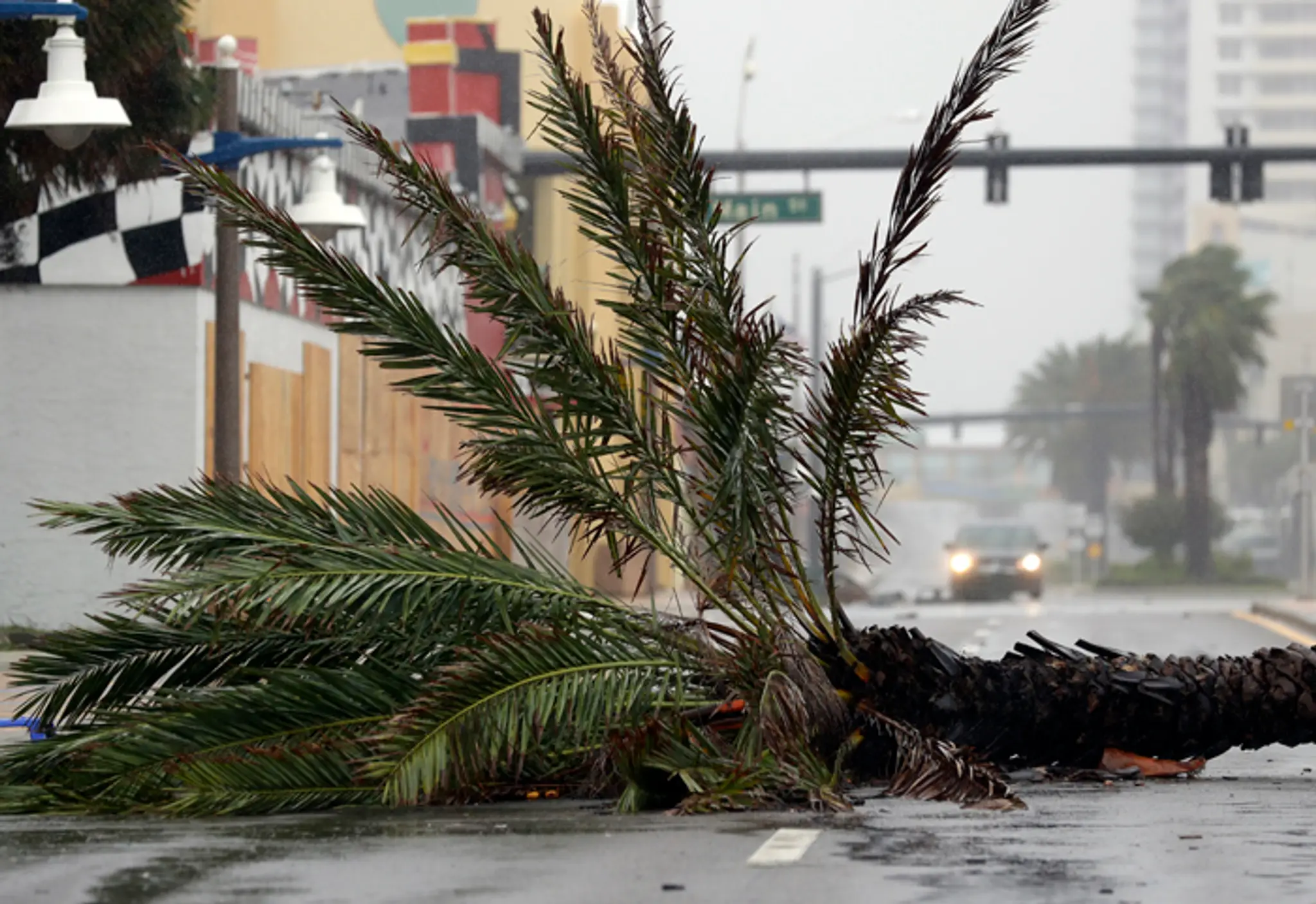 Vyvrátená palma blokuje cestu po príchode hurikánu Matthew v Daytona Beach na Floride.