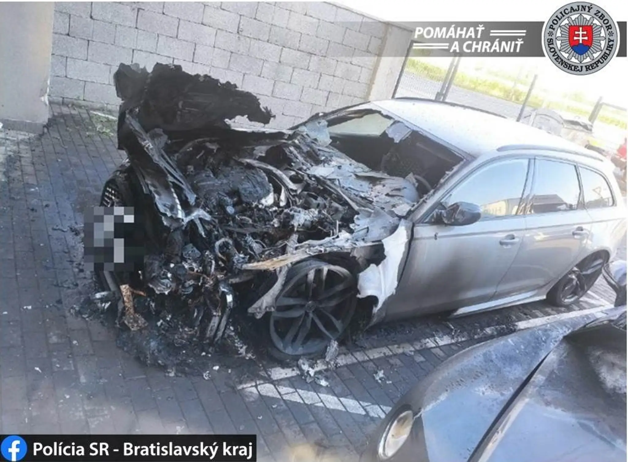 Mužovi sa podarilo vypestovať šesťmetrovú slnečnicu