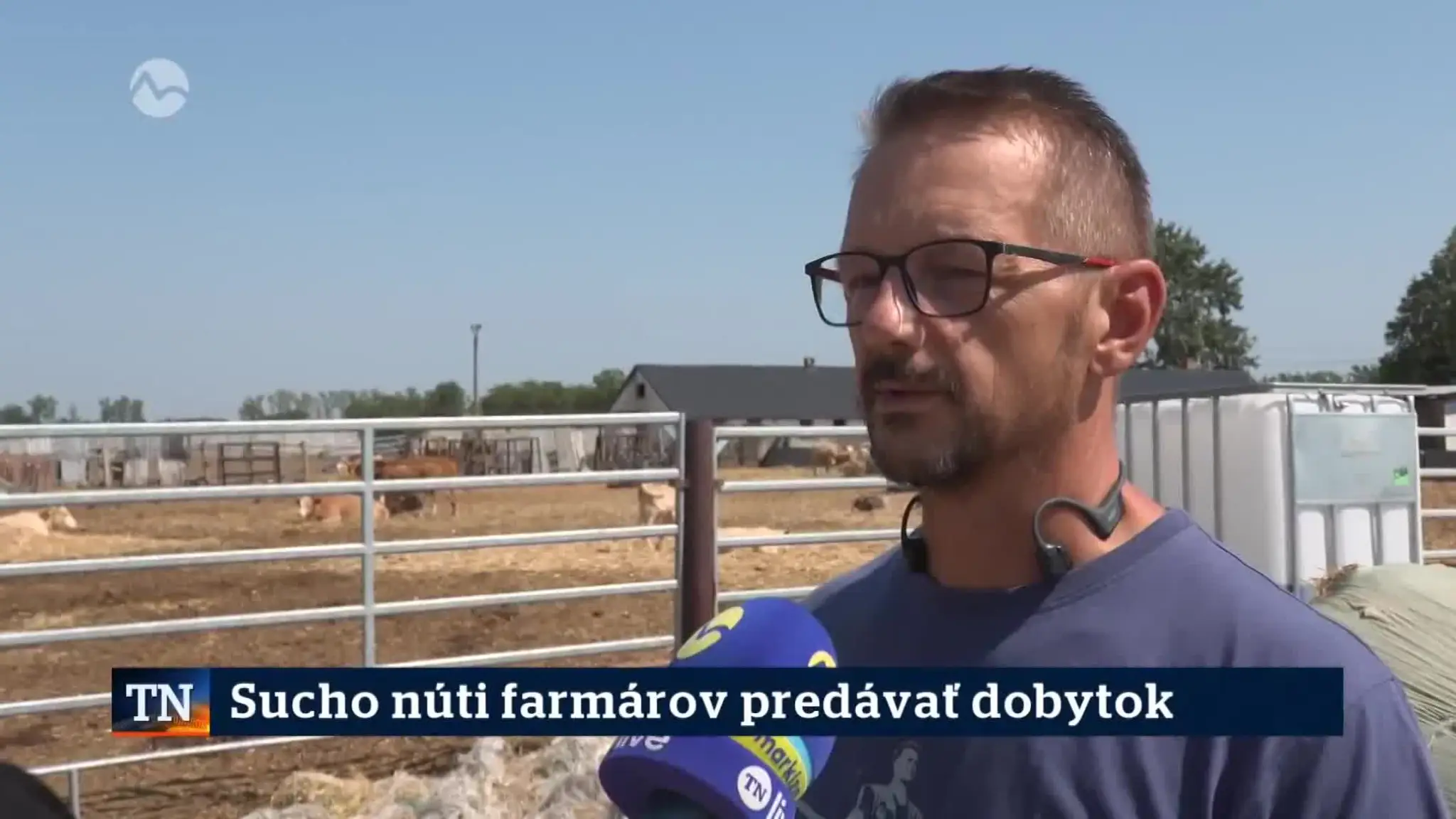 2026-08-06-TN-3-Sucho-nuti-farmarov-predavat-dobytek