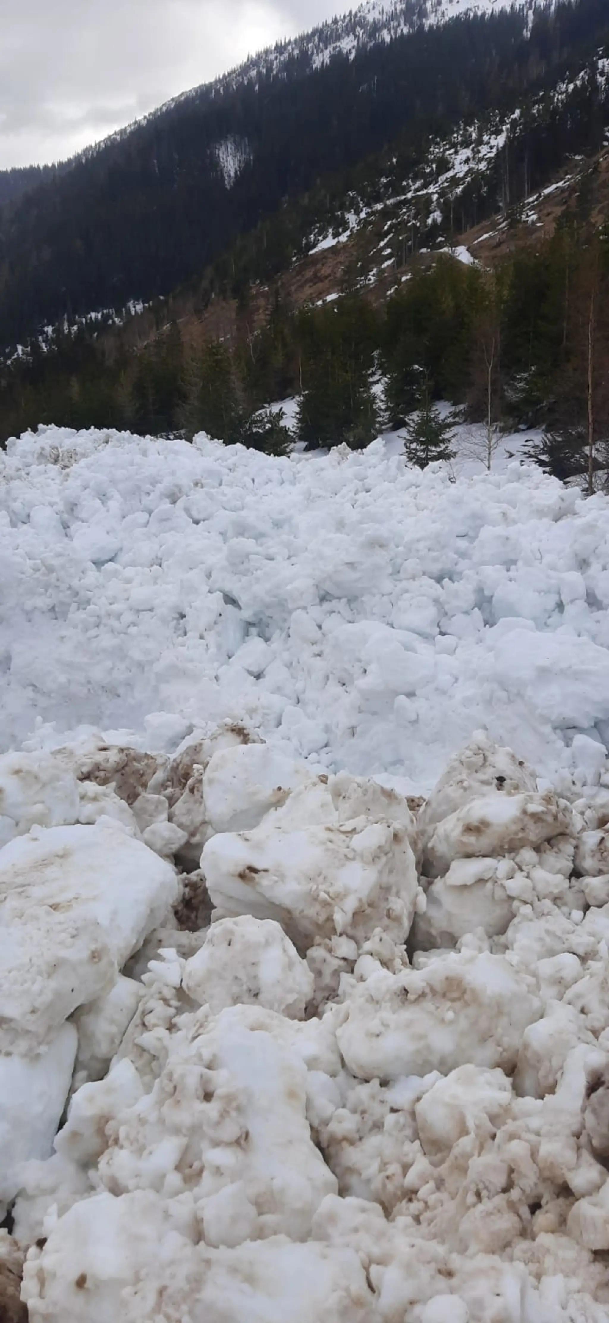 V Žiarskej doline spadla lavína