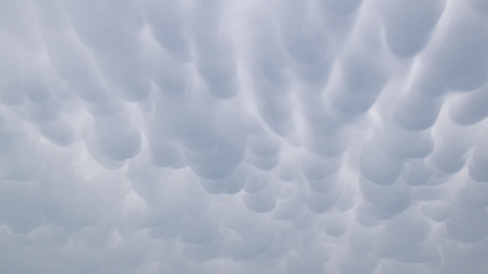 Mraky mammatus.