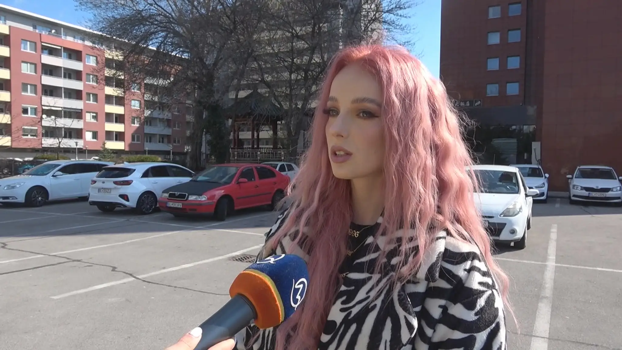 Speváčka Sima.