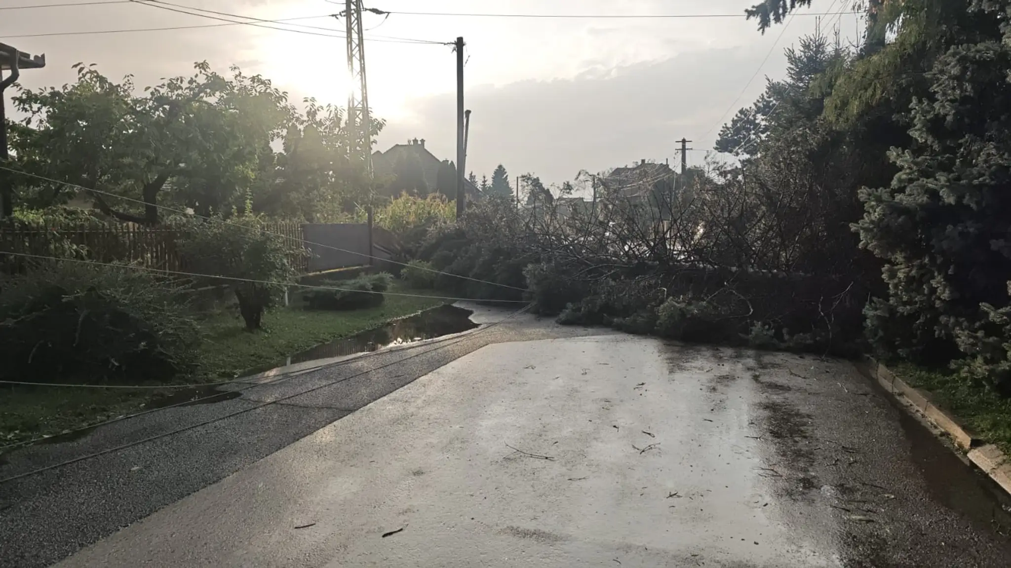 Spadnutý strom na ceste v Leopoldove.