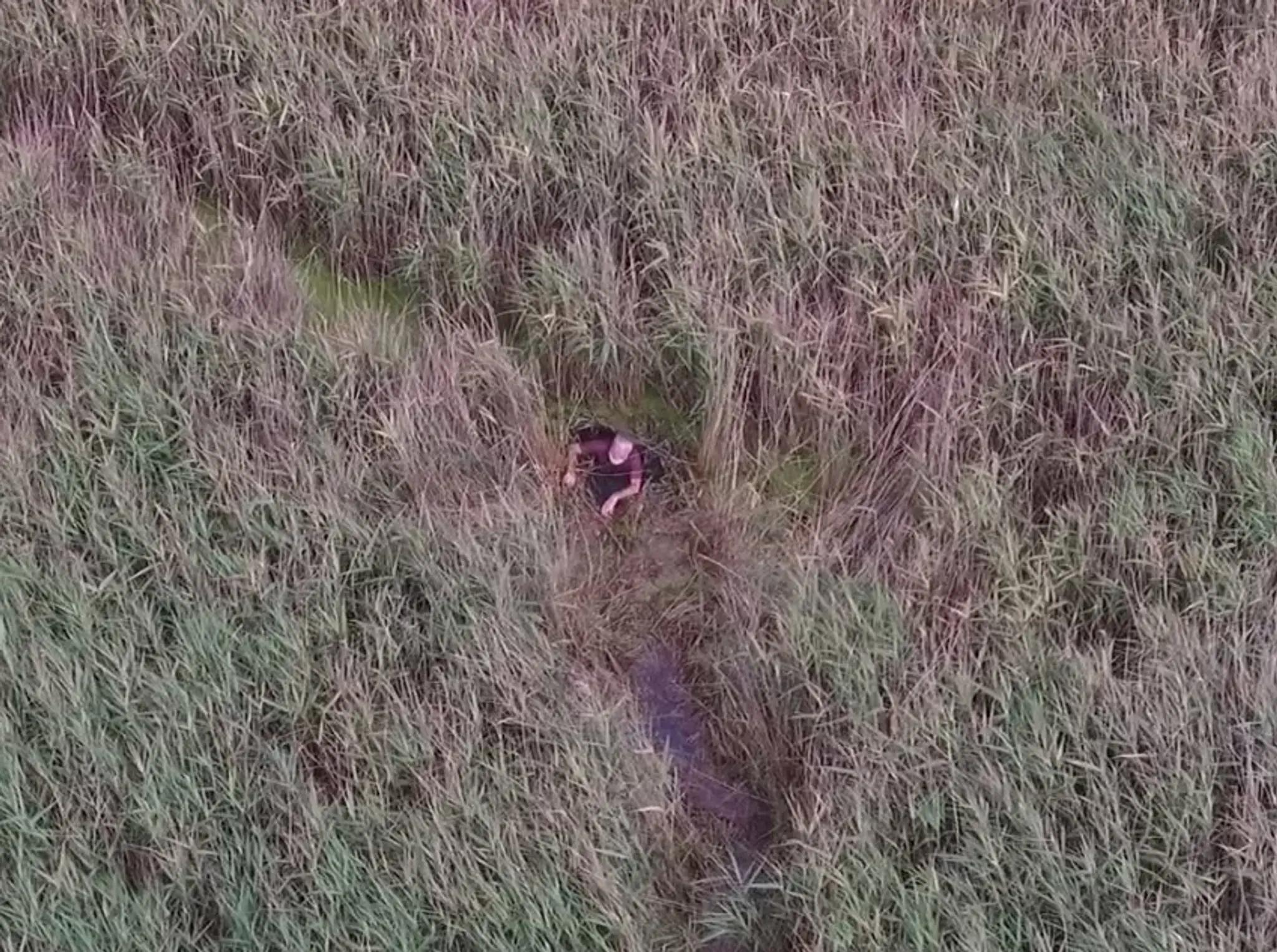 Nezvestného muža našiel dron uviaznutého v močiari