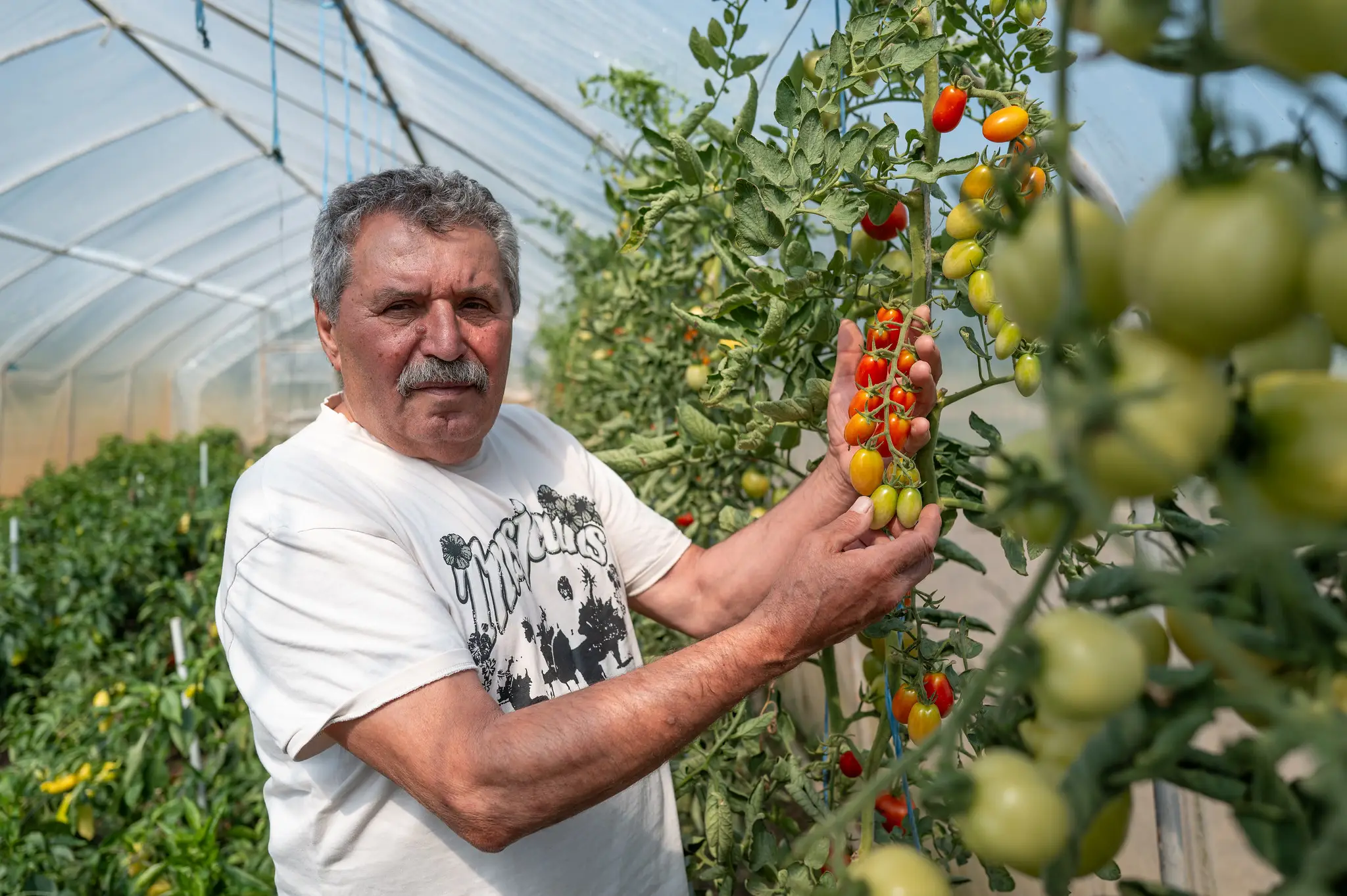 Domáca zelenina a ovocie, ktoré zbytočne necestujú